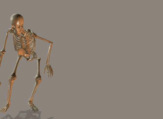 Skeleton animation illustrating an inline-skating stride